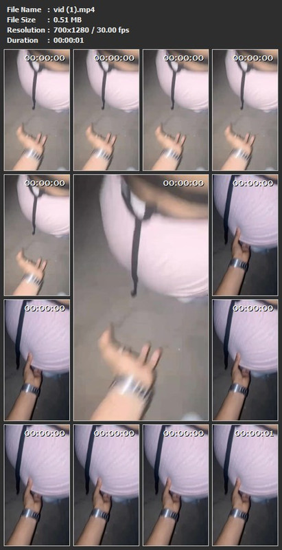vid (1).mp4