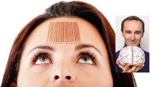 Marketing and Manipulation  The Neuroscience of Shopping