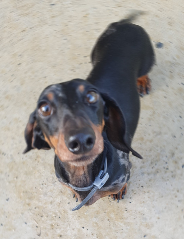 [Image: 20221025-114531.jpg]