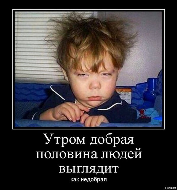 https://i.postimg.cc/YqBFpKqS/cc93669fce515ac4e9980739b662f3ad.jpg