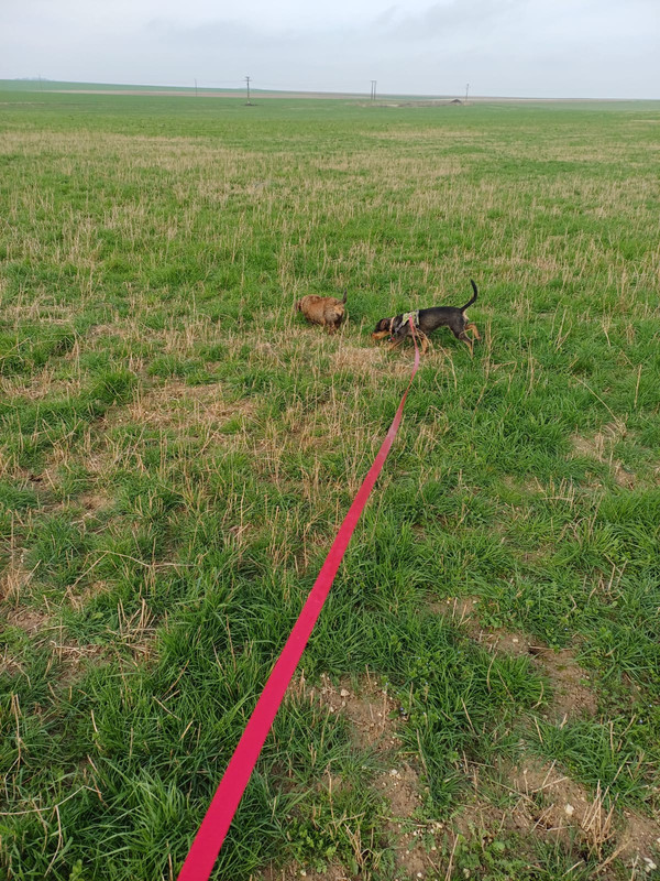 [Image: IMG-20240228-WA0008.jpg]