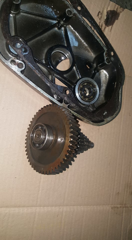 83358186_129109808230842_6870494136407949312_n