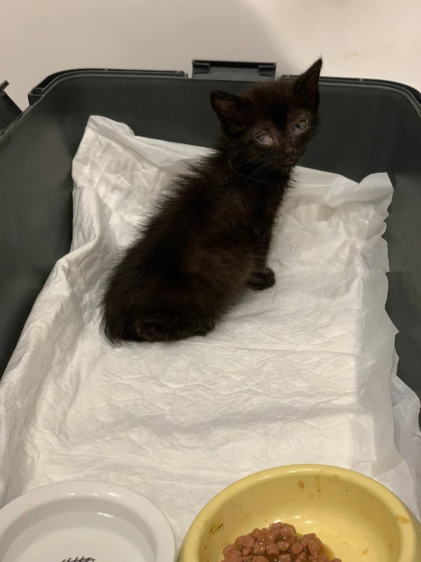 CD350A1D-E0ED-40A7-91E3-C27B22EF0D47