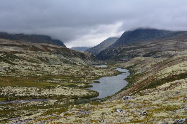 21 días por el Sur de Noruega - Blogs de Noruega - Día 2. Parque Nacional de Rondane (3)