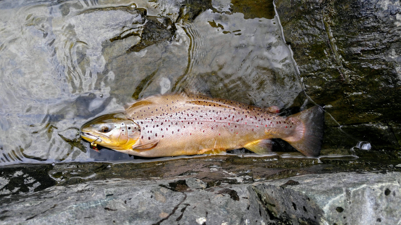 0510181302