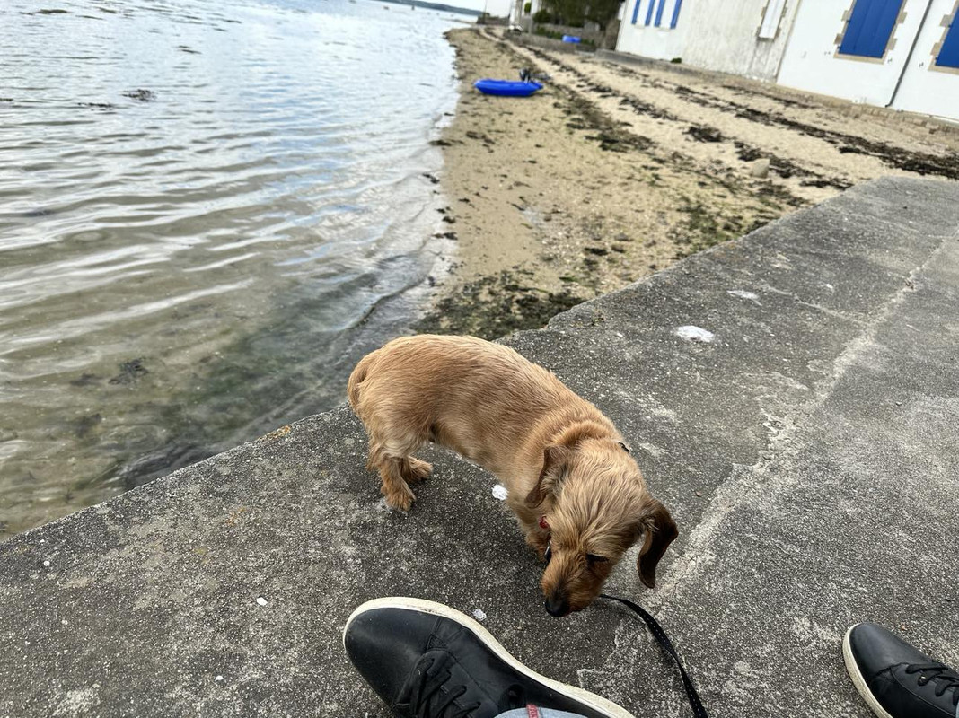 [Image: received-768240121750862.jpg]