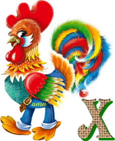 ¡¡¡  Velay   !!!   que Gallo  X