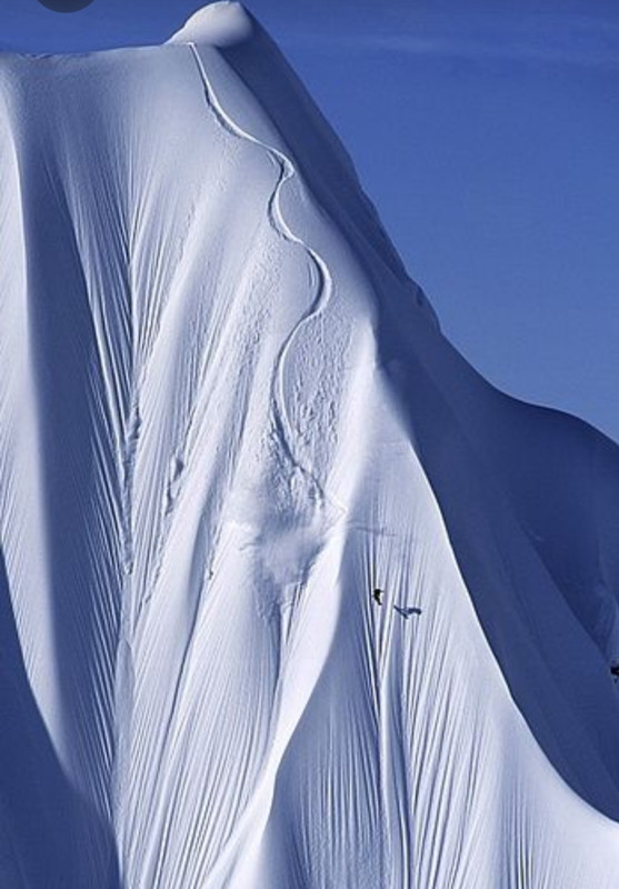 Screenshot_20230313_005537_Pinterest