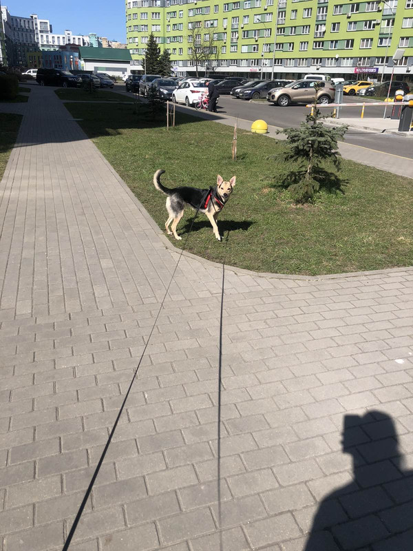 B563BAAA-18F7-4DAA-8AD5-9950E87424FC