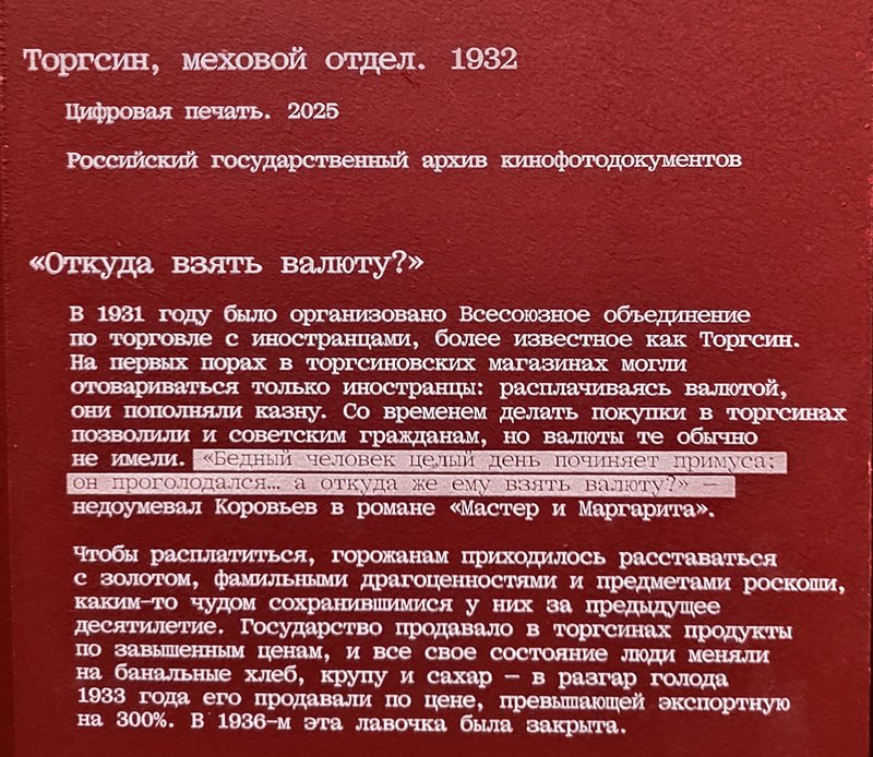 https://i.postimg.cc/YqCyNnCS/265-IMG-20250814-120113.jpg