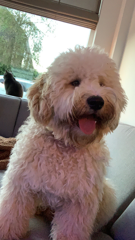 8FAC49F7-E337-4A26-83B7-6A672122ABA6