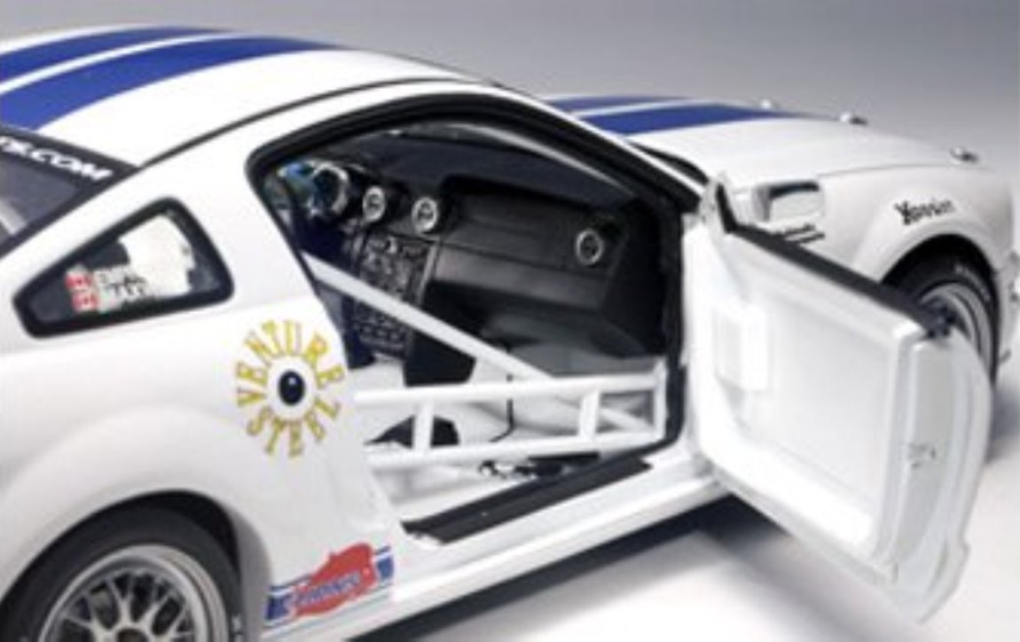 WOW EXTREMELY RARE Ford Mustang FR500C #05 Grand-Am 2005 Champion