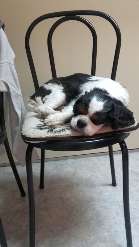 A2992A9D-13F5-4C7C-8F2D-941DB3995A50