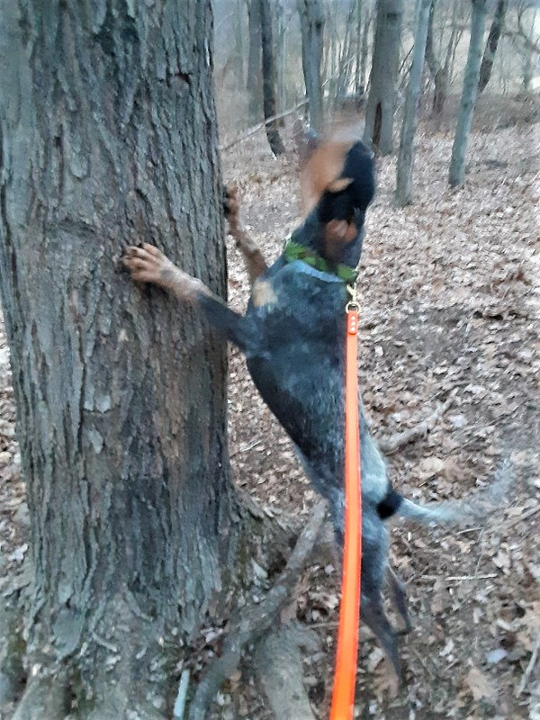 Resized_20210315_192503 (1)