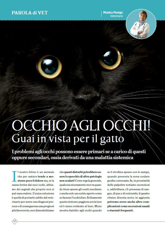 Argos Ago-Set 2023 (7)