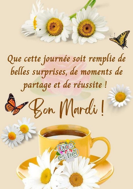 c5f27f02ce22d2d0e2f74a829f8ef6f0