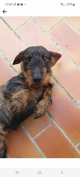 [Image: 426742363-419384367197368-975429396570957229-n.jpg]