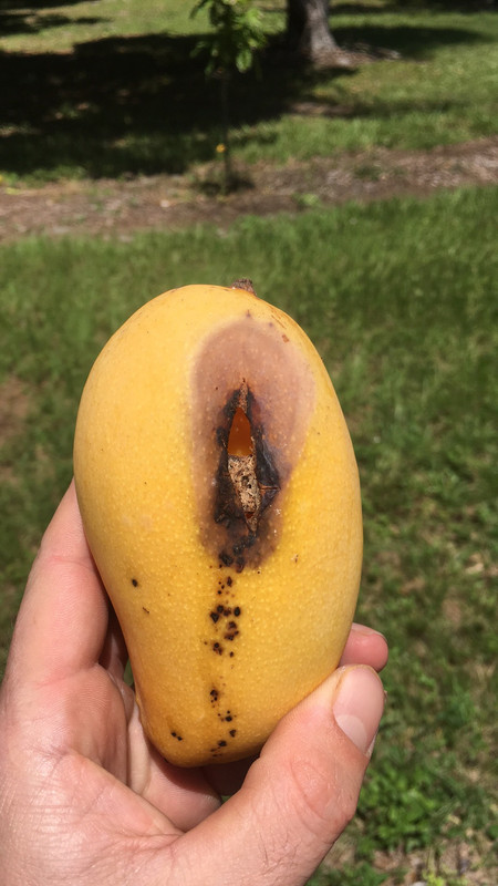 1E2EA7B1-7CED-4BB6-B2C8-174495DED47A