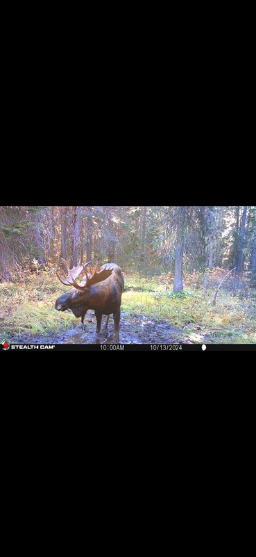 Screenshot_20250619_222704_Gallery