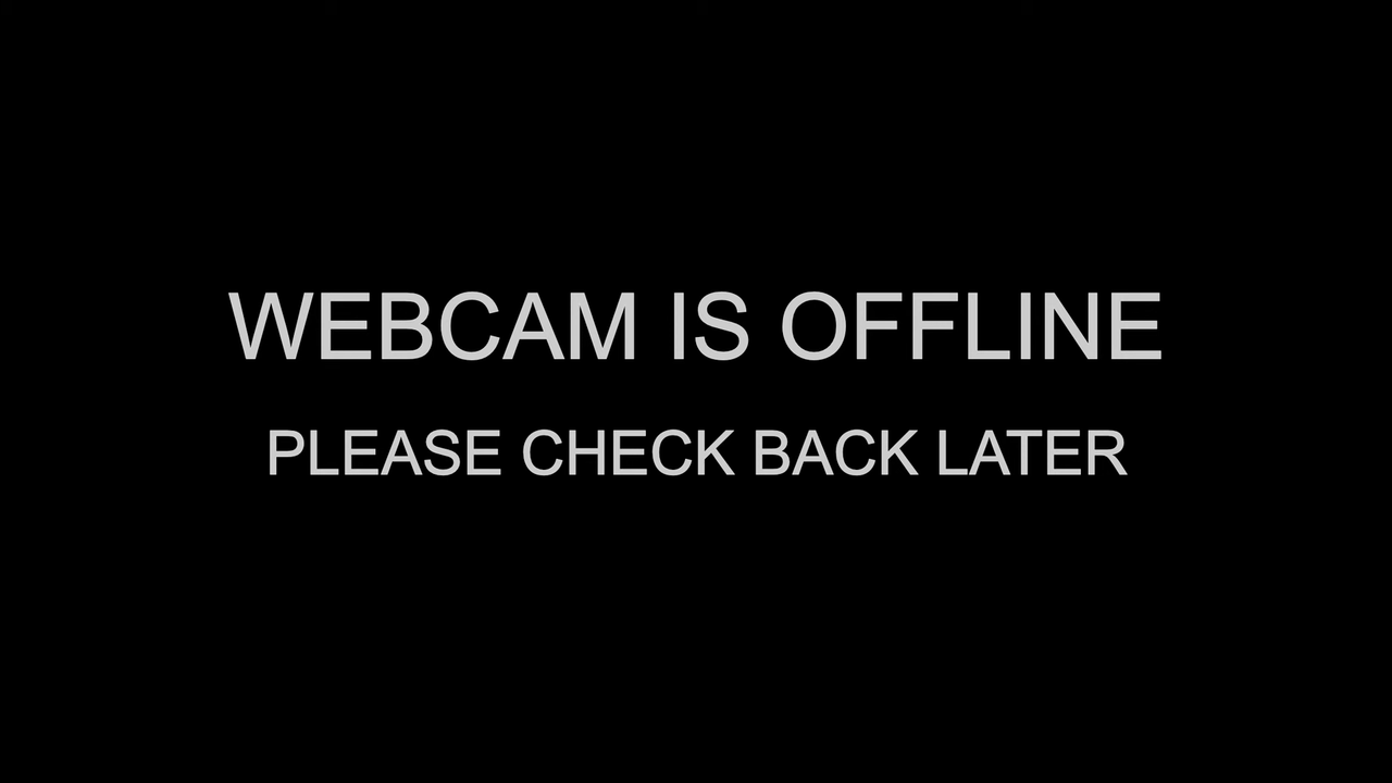 Zrzut ekranu (17608)