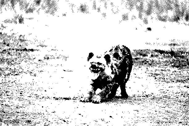 aa-38
