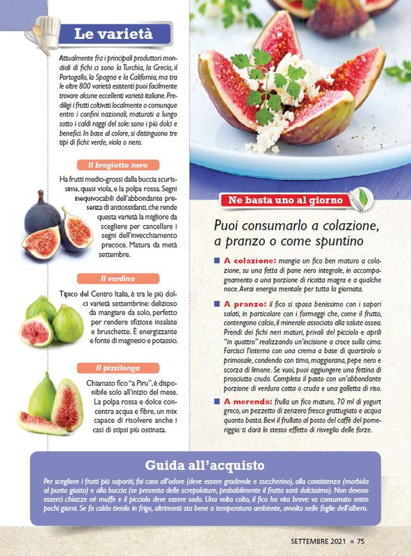 Sal Nat Set 2021 (12)