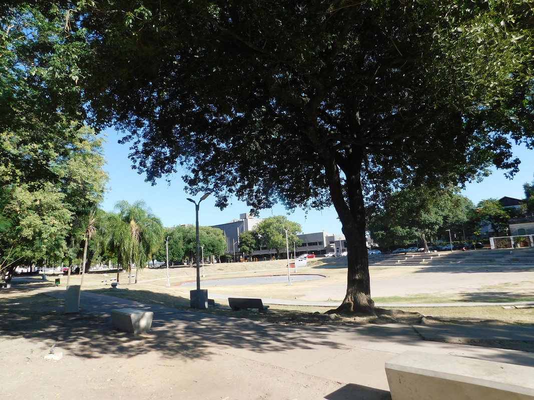 DSCN0532.jpg