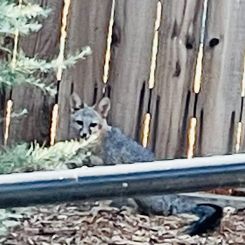 43AA65B6-1827-4EC8-89E6-B3C121BAC480