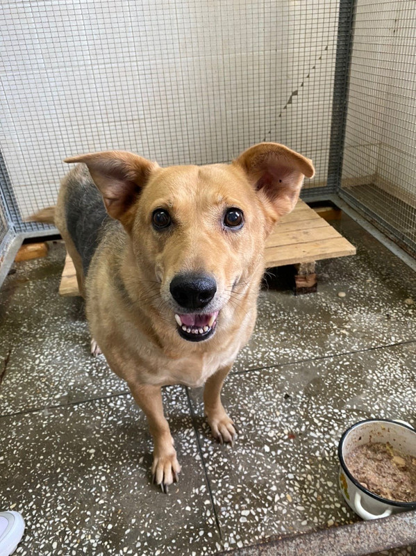 4C66B187-4B05-4FC0-A309-4040A085F935