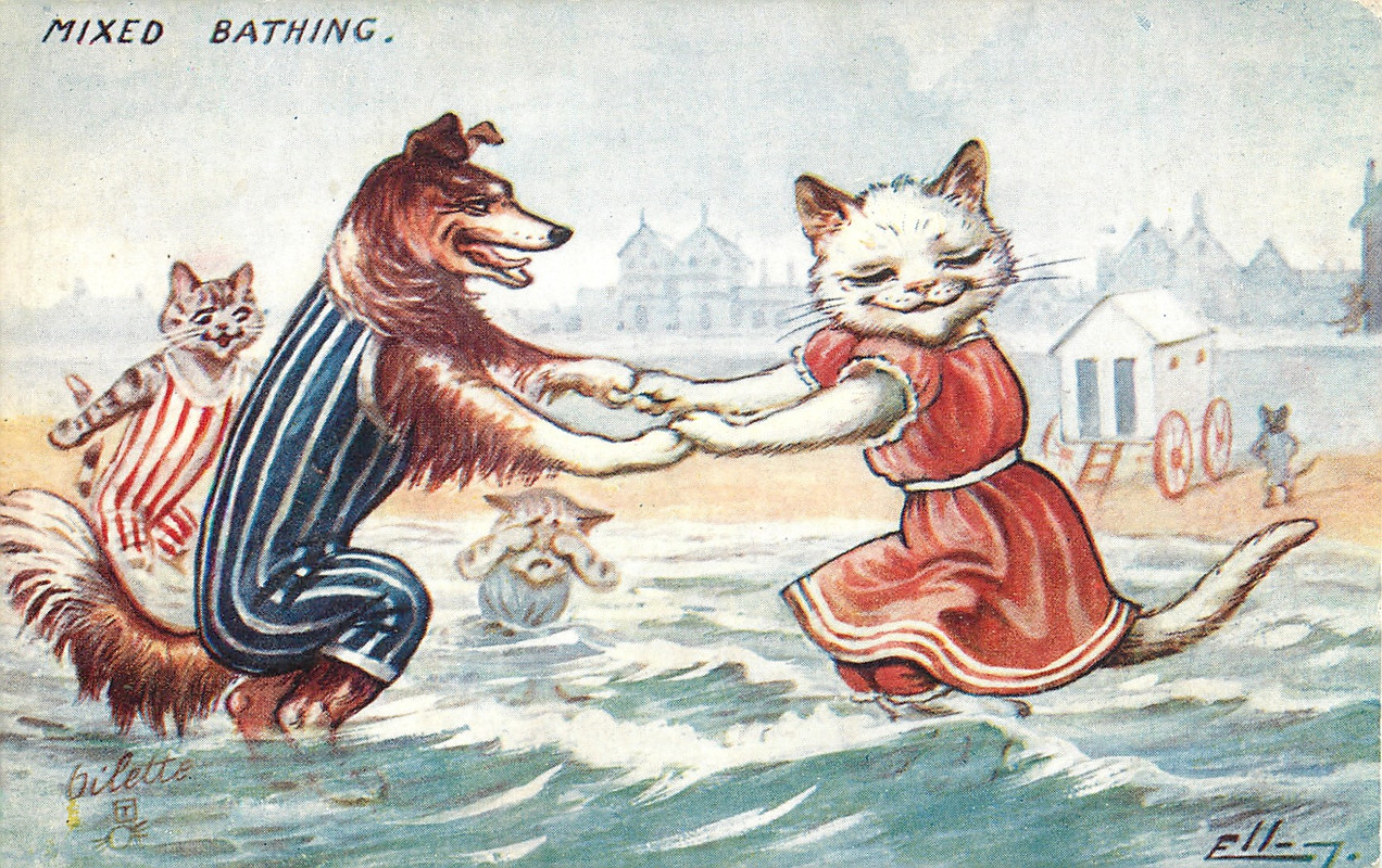 141