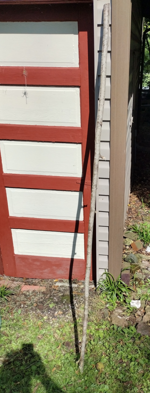 IMG_20220903_154109739_HDR(2)