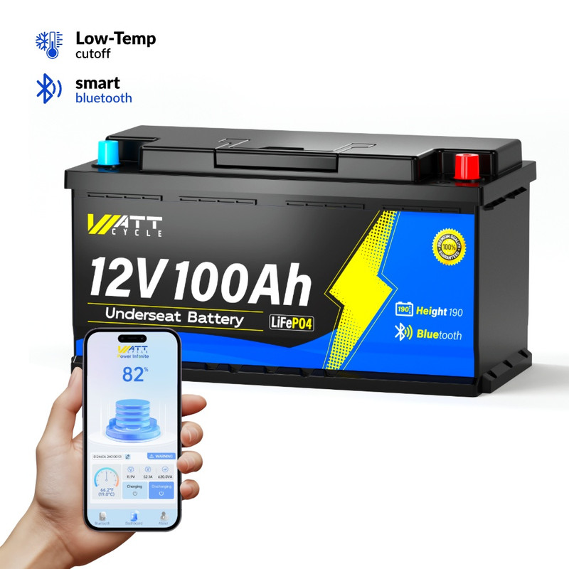 WT12V100AH100BTH190