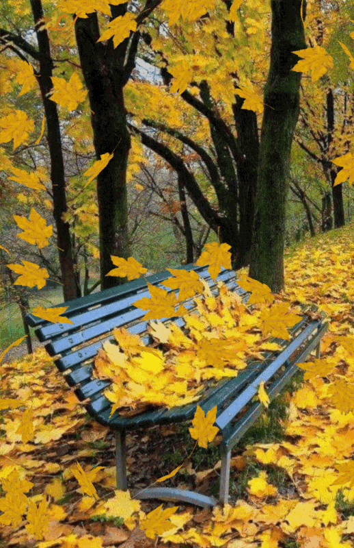 88f75ab82ff15e2db893ad5229a6340f.gif