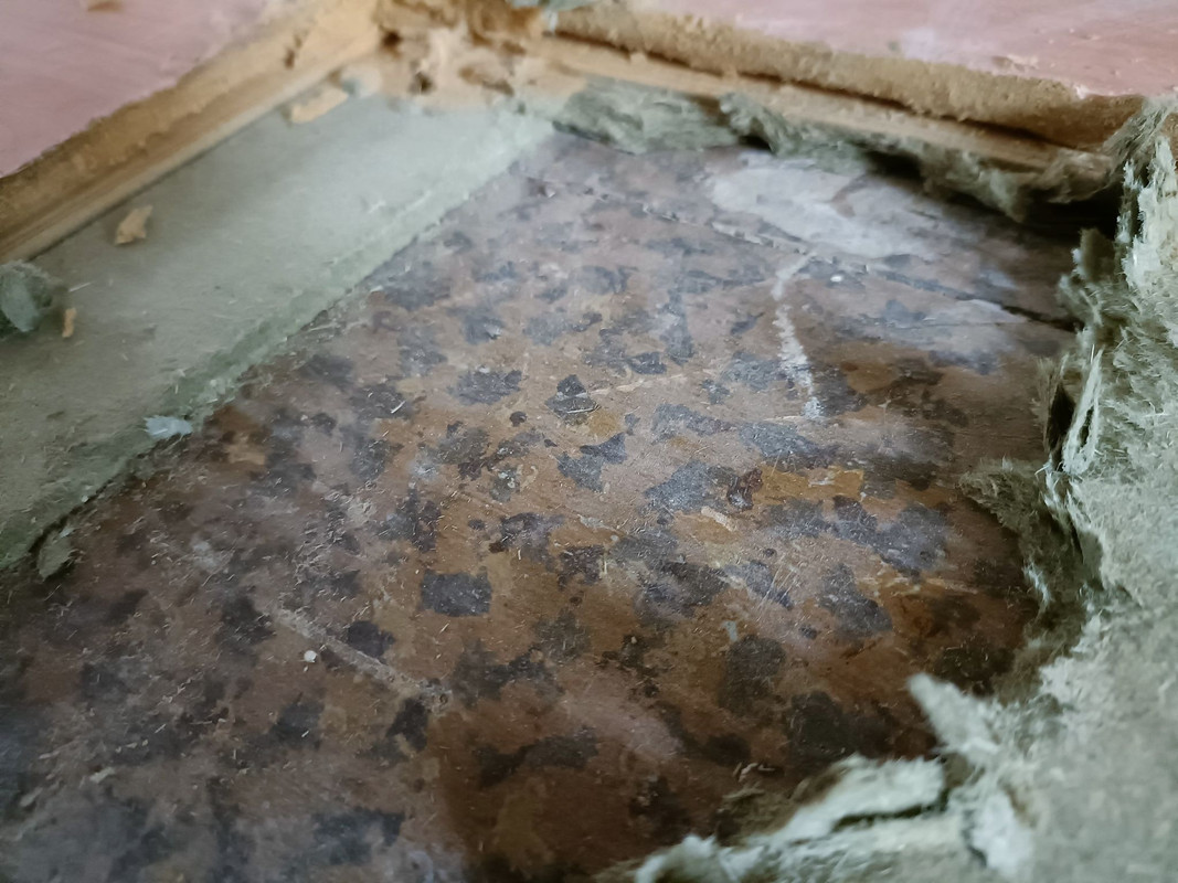 307210002_1559829087784757_665602038671276906_n(1)