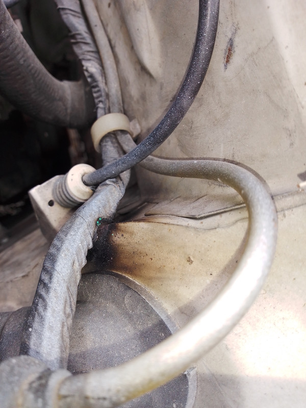 IMG_20210421_145744223