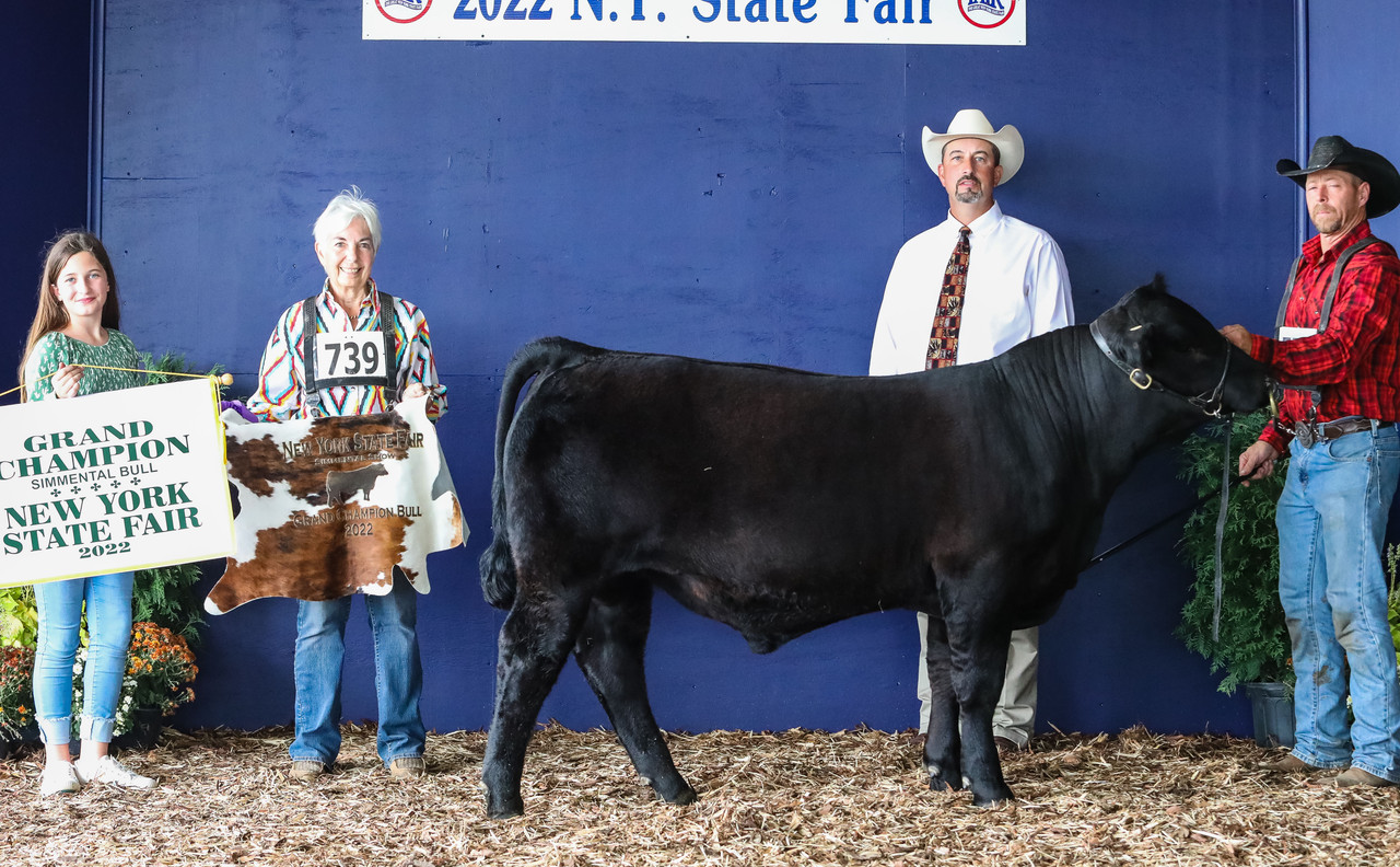 NYSF - 2022 Kruz Gr Ch Bull crop