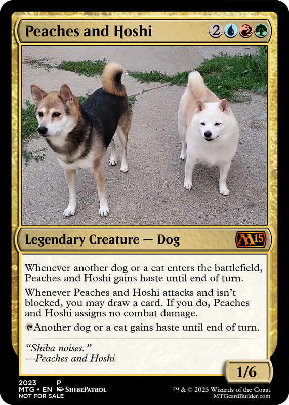 ShibePatrol