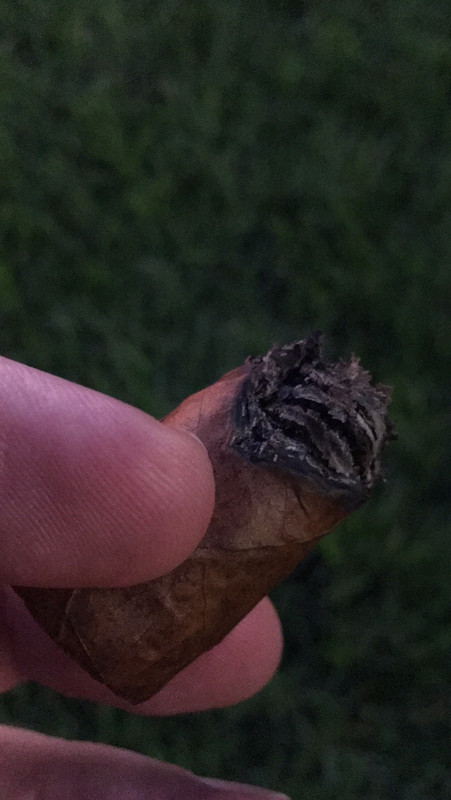 D94E5BBE-2799-4A24-93DF-0A930928E1A5