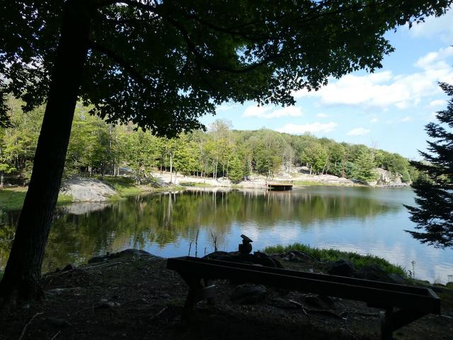Sucrerie de la Montagne y Parc Omega - DOS SEMANAS EN EL ESTE DE CANADÁ (ONTARIO Y QUÉBEC) (10)