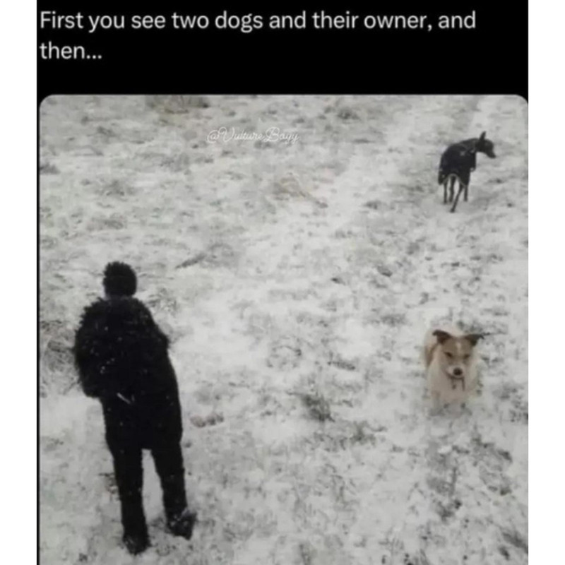 87503719.jpg