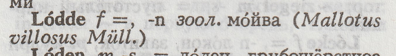 Lodde