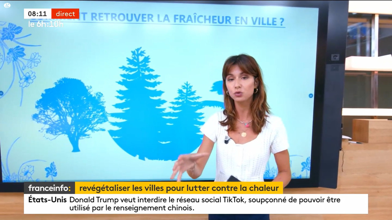 08.01 - 10.27.00 - Franceinfo  et tout est plus clair. Pas de descrip....ts_snapshot_12.13.688