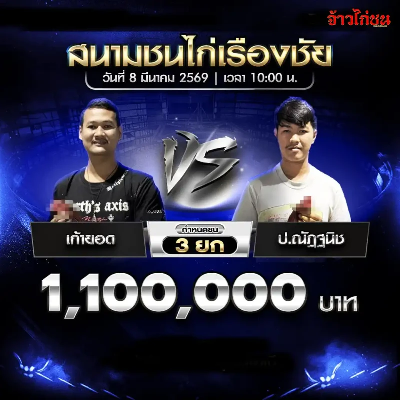 โปรแกรมไก่ชน เก้ายอด vs ป.ณัฏฐนิช สนามชนไก่เรืองชัย 8 มีนาคม 2569