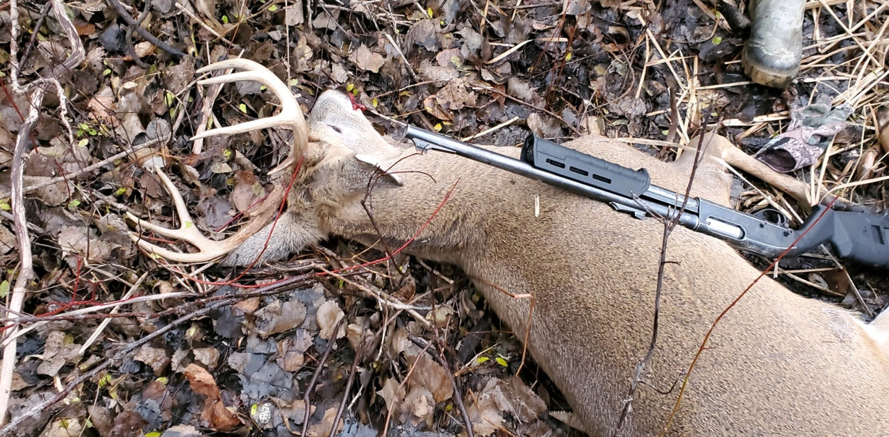 82C20092-3DF2-4675-B6FE-C21BC1A58590