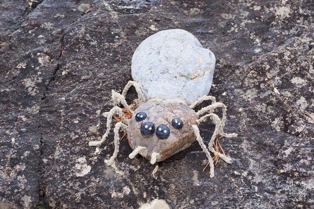 615410754-25461740430115537-9214580796282330997-n