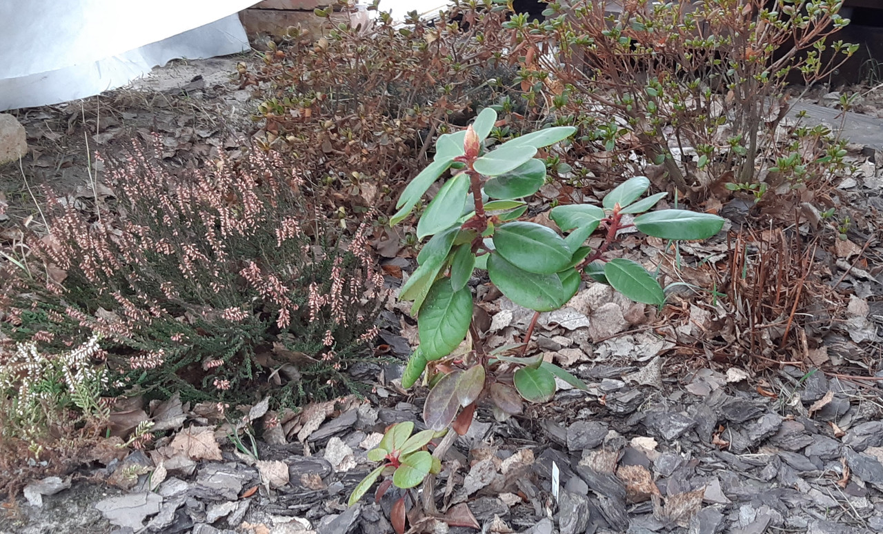 7149A3AC-E2E5-41D5-8BBE-2BDDE5380165