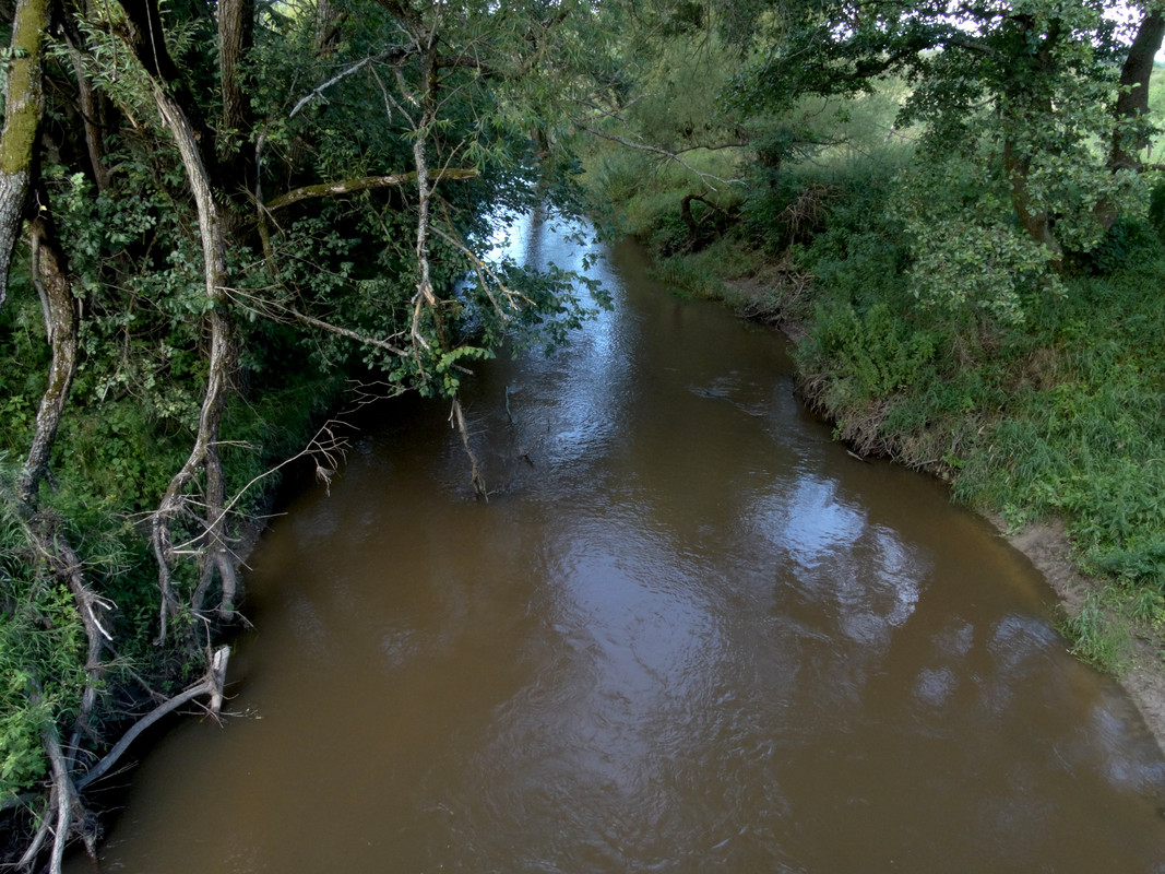 23.04 - DSC07623 (Czesio1)