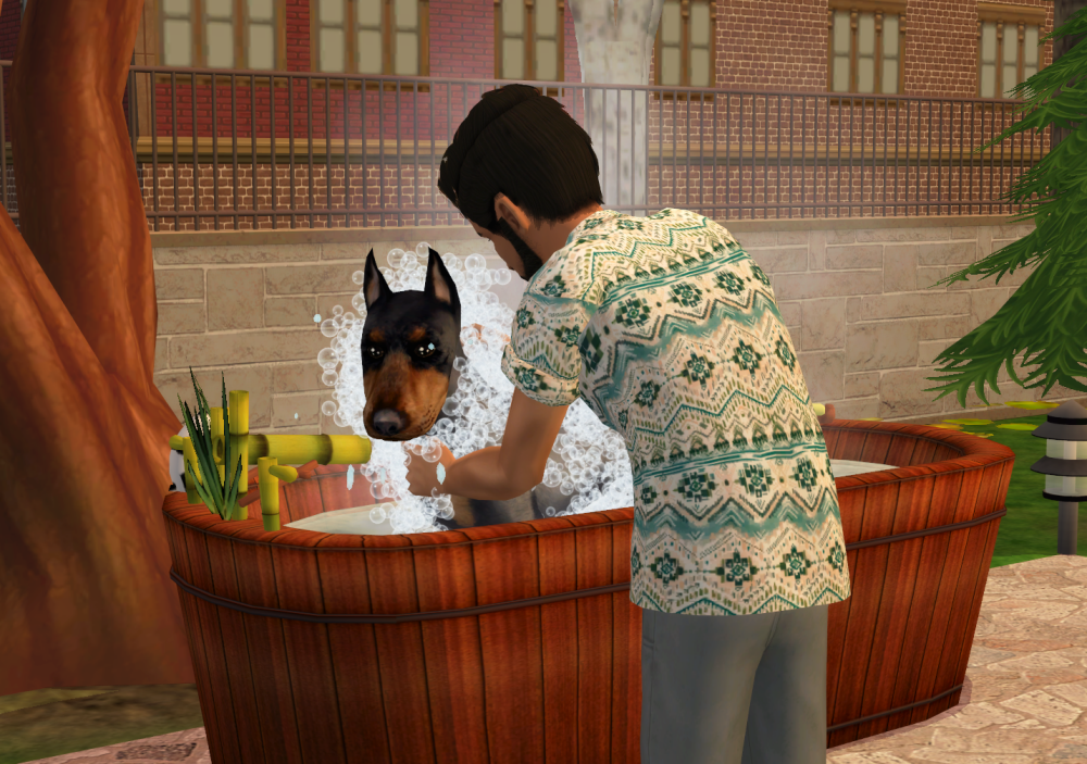 Sims2-EP9-RPC-2022-06-21-22-14-31-77