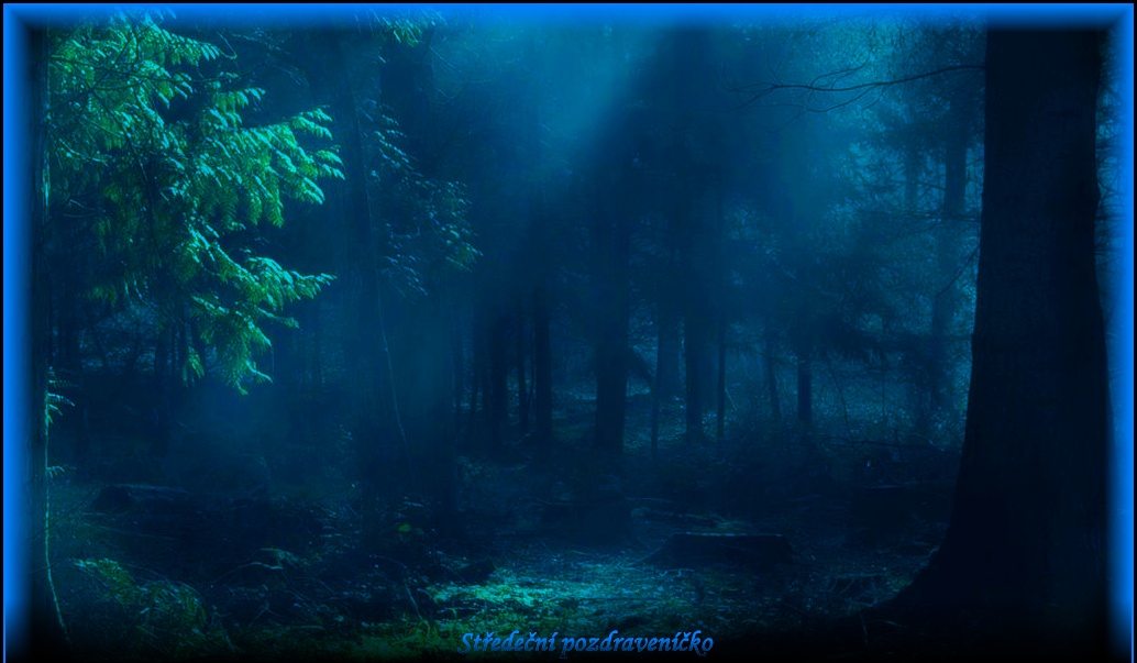 forest-fog-trees-128751-1024x600.jpg