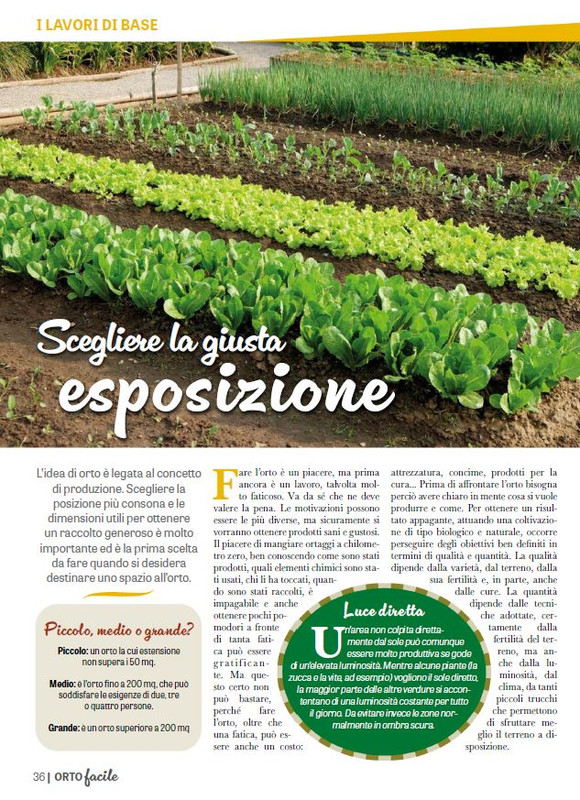 Orto Facile - Il Mio Orto Pratico - Feb-Mar 2025 (1)